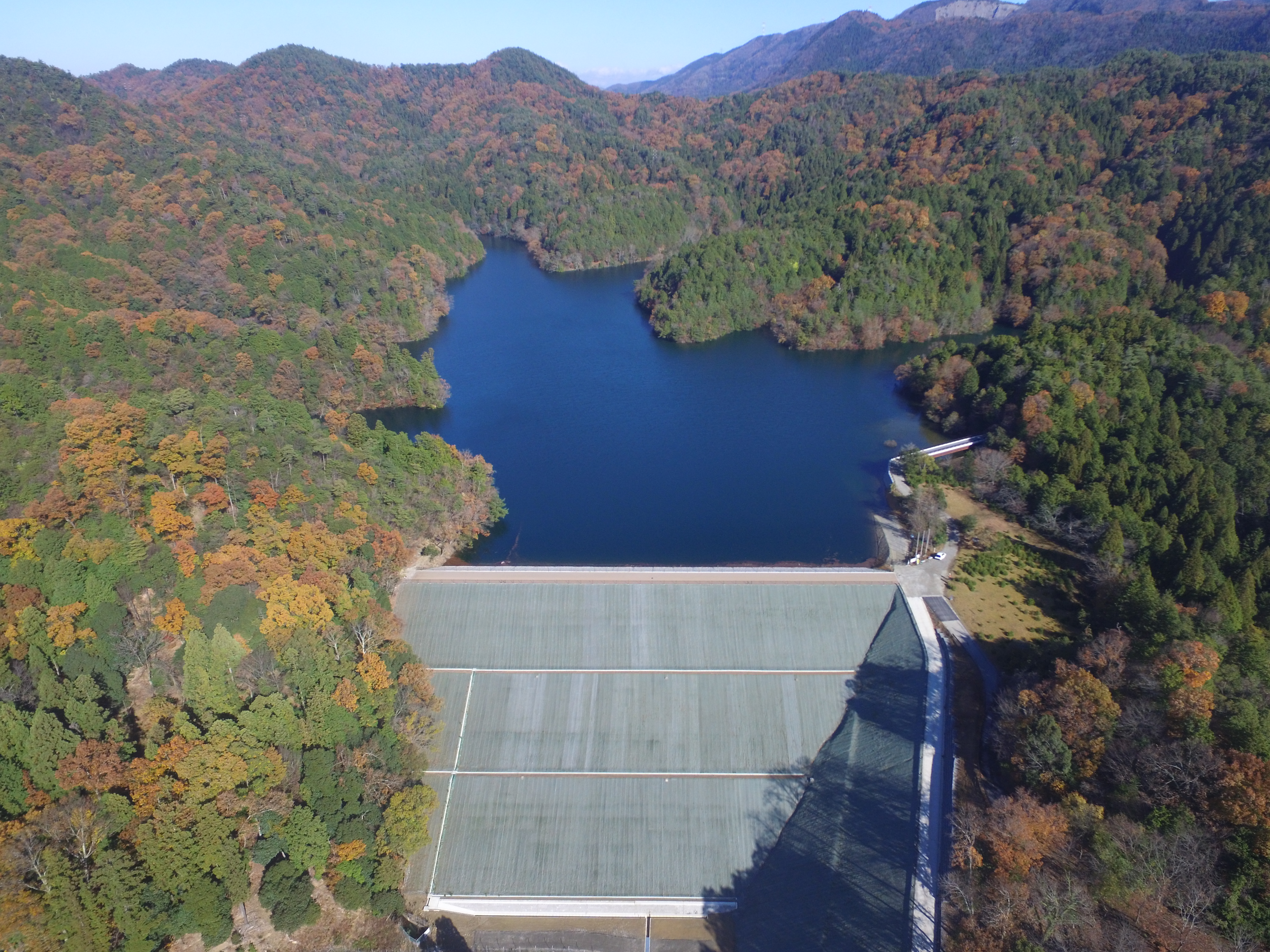 画像：芹川地区ダム堤体改修工事